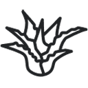 Κάλυμμα Aloe Vera